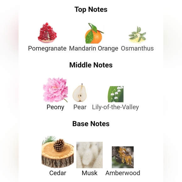 HTF🔥Bath & Body Works Cocktail Dress Fine Fragrance Mist - Picture 6 of 6